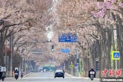 崇左共建“花园城市” 北京这场议政会“百花齐放”